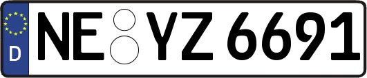 NE-YZ6691