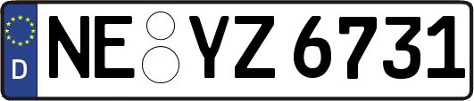 NE-YZ6731