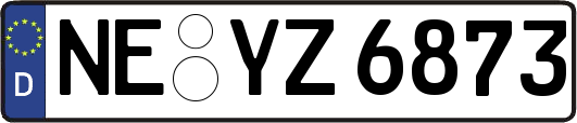 NE-YZ6873