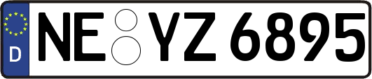 NE-YZ6895