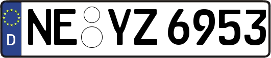 NE-YZ6953