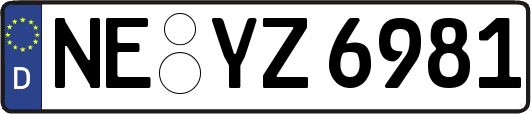 NE-YZ6981