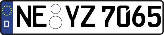 NE-YZ7065