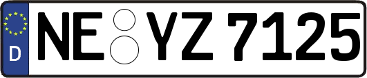 NE-YZ7125