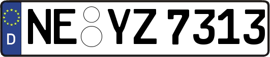 NE-YZ7313