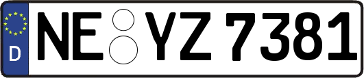 NE-YZ7381