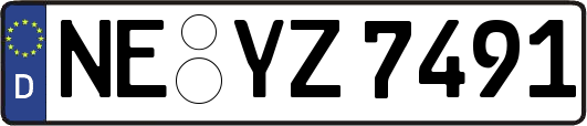 NE-YZ7491
