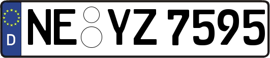 NE-YZ7595