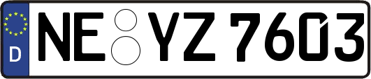 NE-YZ7603