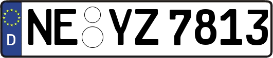 NE-YZ7813