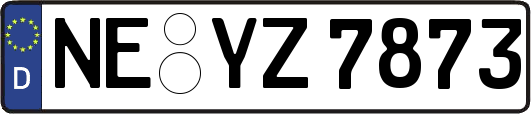 NE-YZ7873