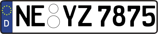 NE-YZ7875