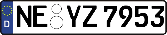 NE-YZ7953