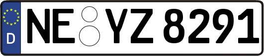 NE-YZ8291
