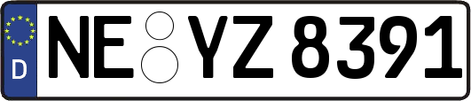 NE-YZ8391