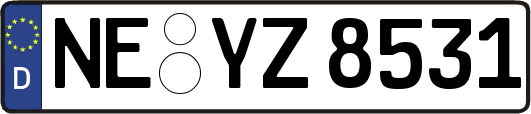 NE-YZ8531