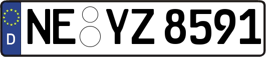 NE-YZ8591
