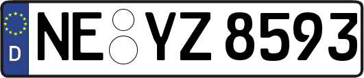 NE-YZ8593