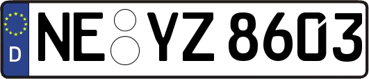 NE-YZ8603