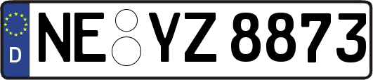 NE-YZ8873