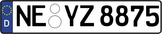 NE-YZ8875