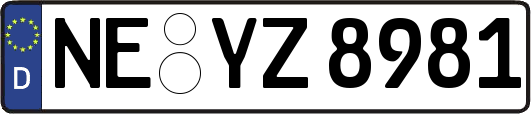 NE-YZ8981