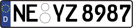 NE-YZ8987