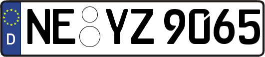 NE-YZ9065