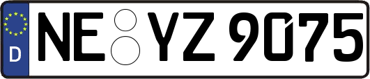 NE-YZ9075