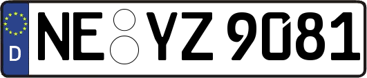 NE-YZ9081