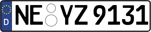 NE-YZ9131