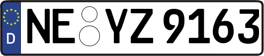 NE-YZ9163