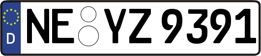 NE-YZ9391