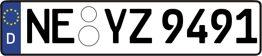 NE-YZ9491