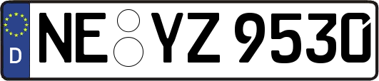 NE-YZ9530