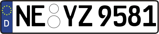 NE-YZ9581