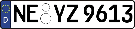 NE-YZ9613