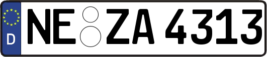 NE-ZA4313