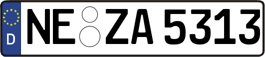 NE-ZA5313