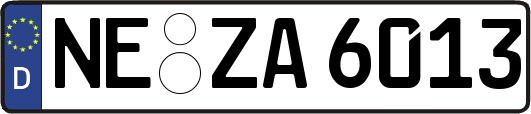 NE-ZA6013