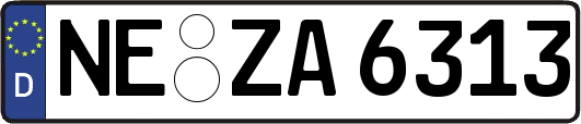 NE-ZA6313