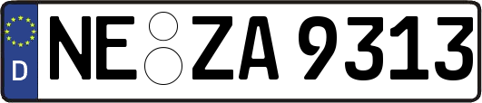 NE-ZA9313