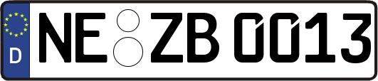 NE-ZB0013