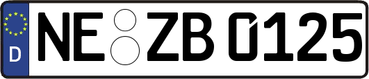NE-ZB0125
