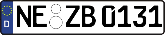 NE-ZB0131