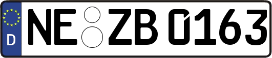NE-ZB0163