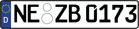 NE-ZB0173