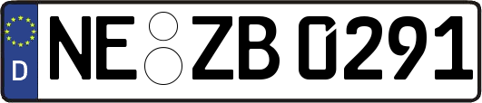 NE-ZB0291