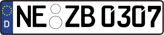 NE-ZB0307