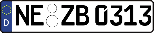 NE-ZB0313
